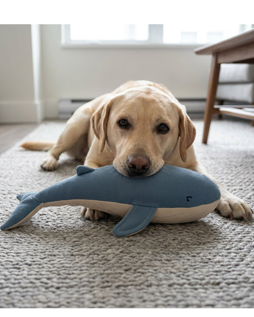 Zovd HarborWhale Canvas Crinkle Dog Toy Slate 30 cm
